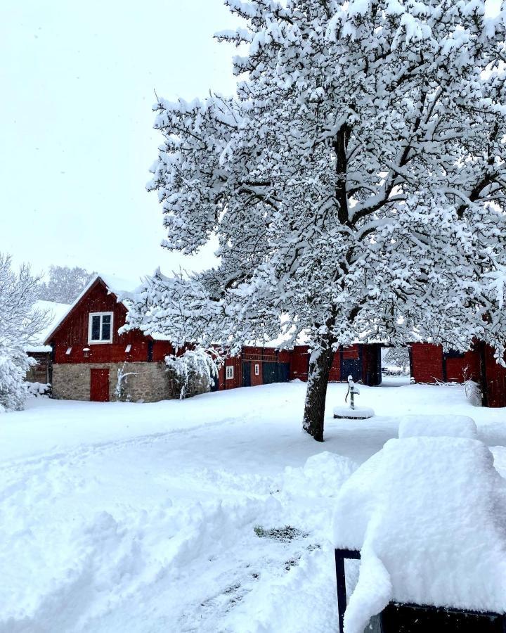 Bo I Egen Stuga Pa Haerlig Oelandsgard Кёпингсвик Экстерьер фото